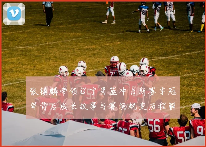 张镇麟带领辽宁男篮冲击新赛季冠军背后成长故事与赛场蜕变历程解析