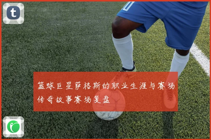 篮球巨星萨格斯的职业生涯与赛场传奇故事赛场复盘