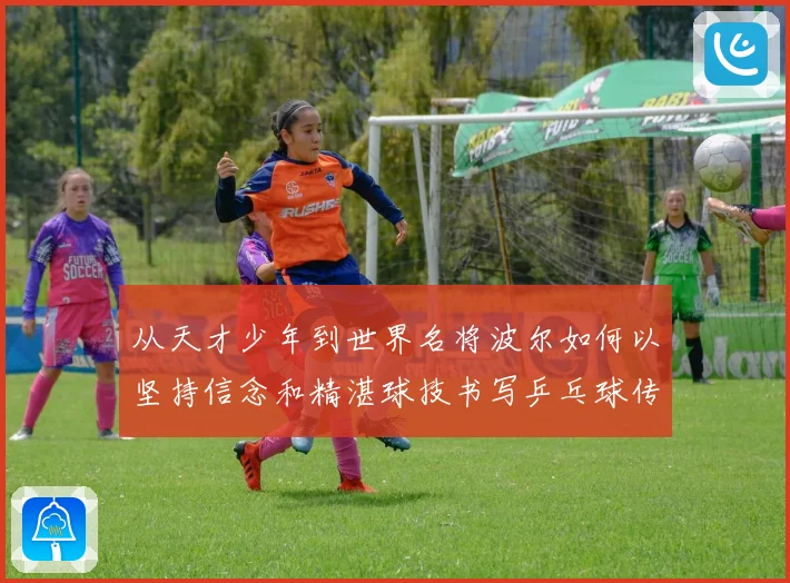 从天才少年到世界名将波尔如何以坚持信念和精湛球技书写乒乓球传奇人生历程