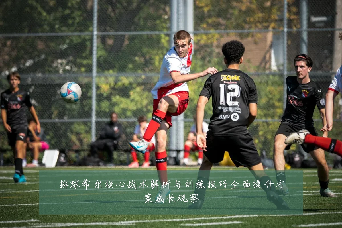 排球希尔核心战术解析与训练技巧全面提升方案成长观察